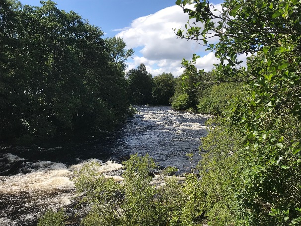 Tummel Valley Holiday Home