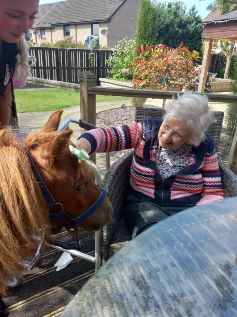 Pony visit